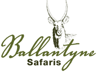 Ballantyne Safaris